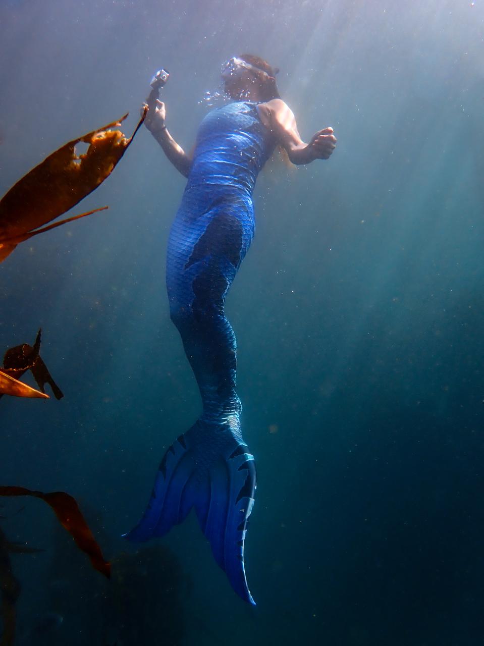 Full original photograph of a blue-tailed mermaid swimming underwater beside kelp